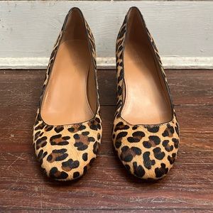 J. Crew Calf Hair Leopard Pumps